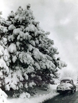 1972